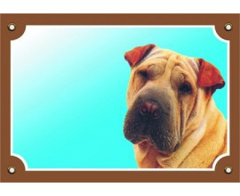 Shar pei