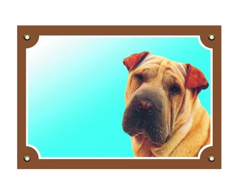 Shar pei
