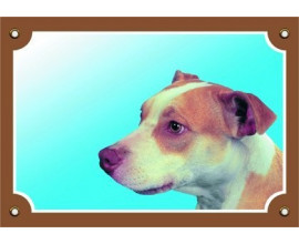 Pitbull
