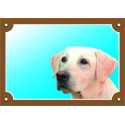 Labrador