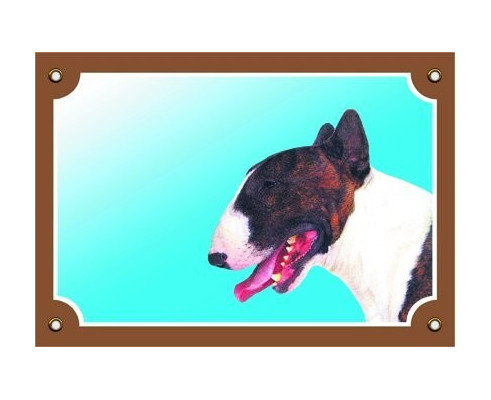 Bullterrier