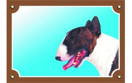 Bullterrier - fehér nyakú