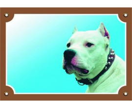 Argentin dog