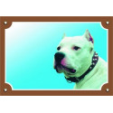Argentin dog