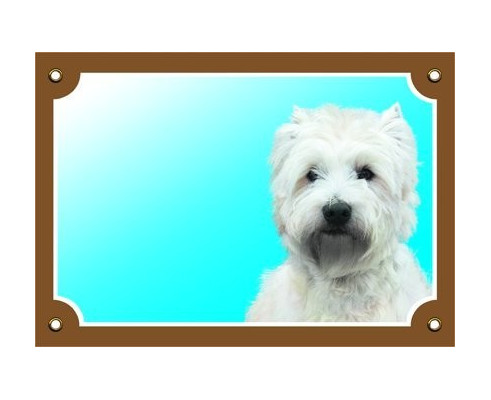 West(y) Highland White terrier