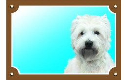 West(y) Highland White terrier