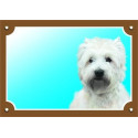 West(y) Highland White terrier