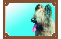 Briard