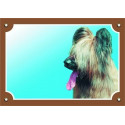 Briard