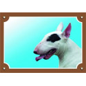 Bullterrier fehér