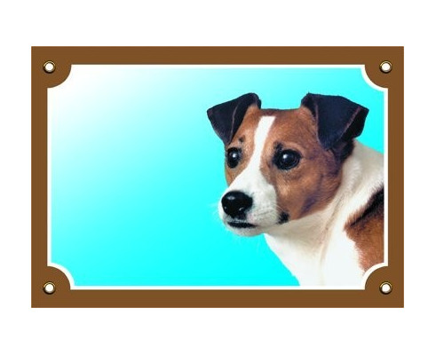 Jack Russel