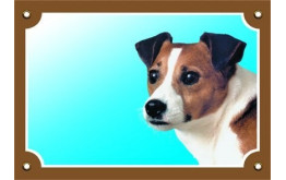 Jack Russel