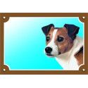 Jack Russel