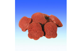 Packy 2,2kg puszedli - füstölt