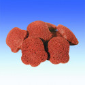 Packy 2,2kg puszedli - füstölt