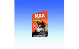 Max bolha-kullancs elleni nyakörv kutyáknak